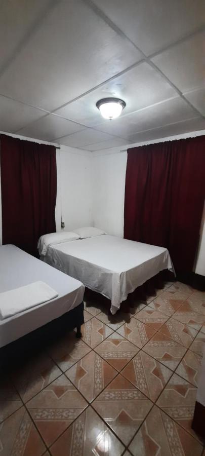 Tropical Dreams Hostel South End Bagian luar foto