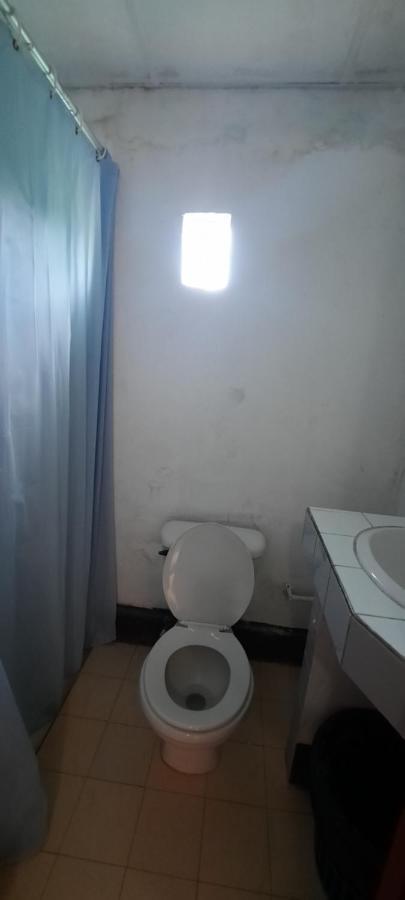 Tropical Dreams Hostel South End Bagian luar foto