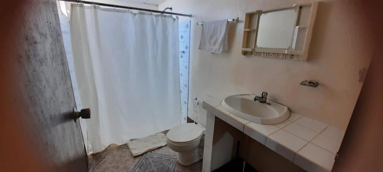 Tropical Dreams Hostel South End Bagian luar foto